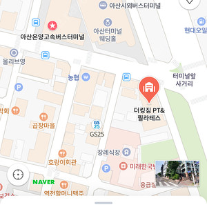 아산산 더킹짐 59일 pt19회 양도 합니다