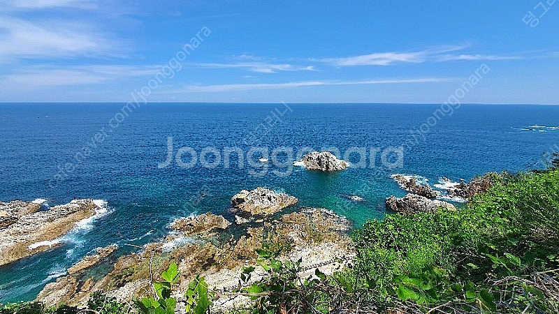 8월 4일 - 6일 2박3일 삼척 쏠비치 패밀리 비치오...--0