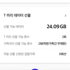 Sk데이터 2G