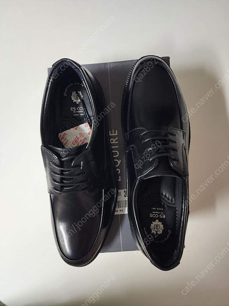 에스콰이어 남성 단화 (새제품)--2