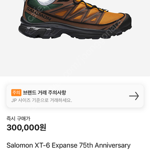 살로몬 xt-6 expanse 75th 사이즈 280