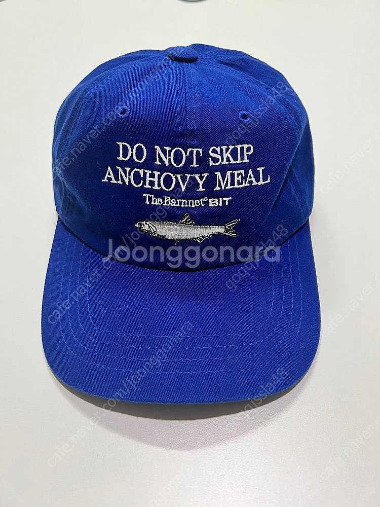 리본빛 엔초비모자--0