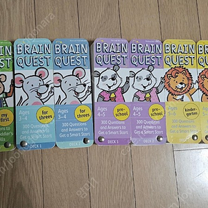 brain quest