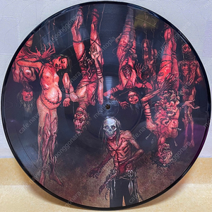 LP ; cannibal corpse - torture 카니발 콥스 엘피 음반 데스 메탈 픽쳐디스크 death metal picture disc