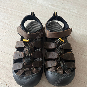 킨 keen 뉴포트 h2 워터프루프 브라운 235-40