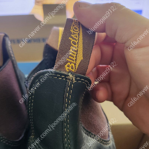 블런드스톤 311