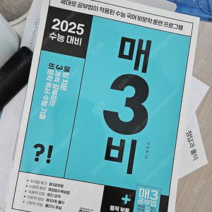 2025 매삼비 (새 책)