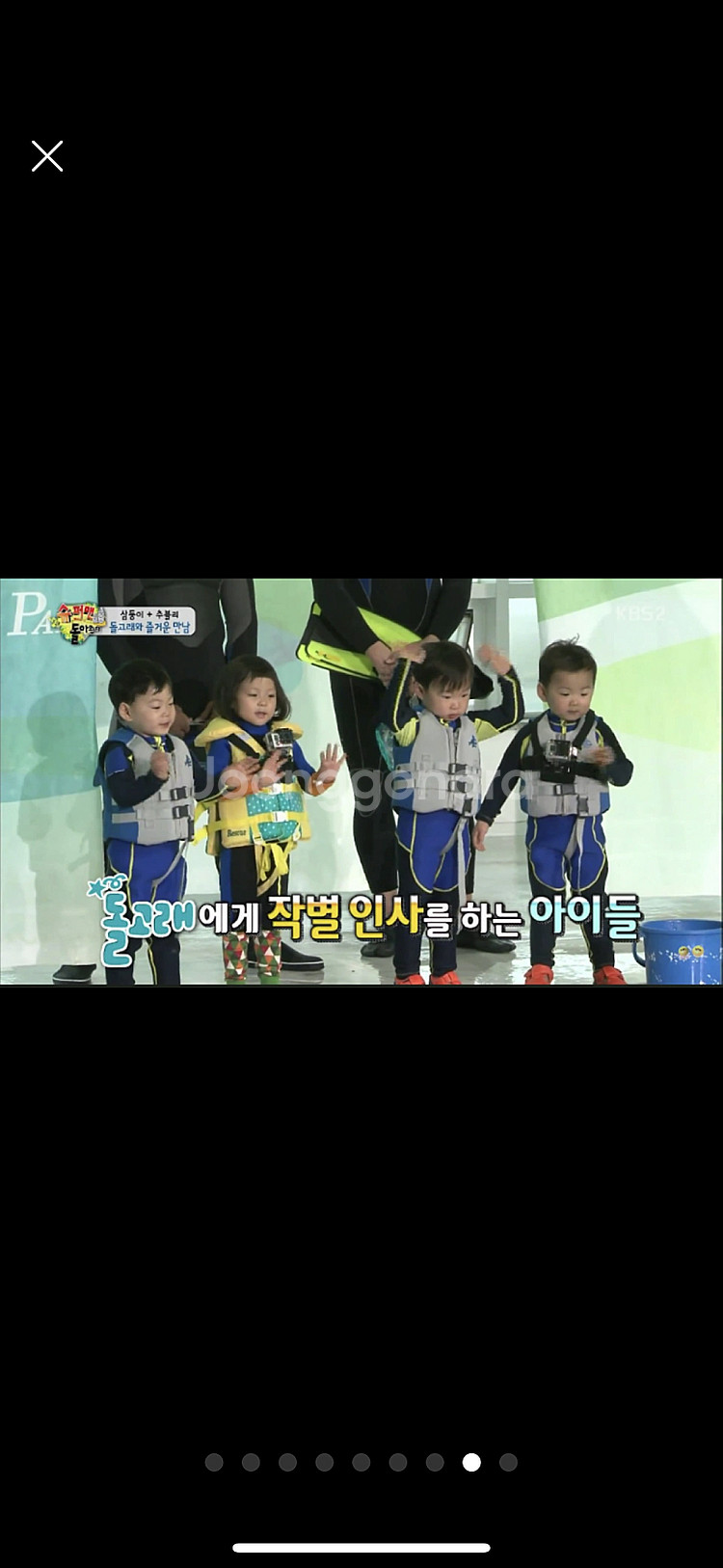스윔웨이즈 상어구명조끼--5