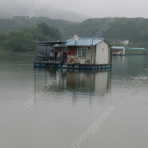 신수향2 보증서 구합니다