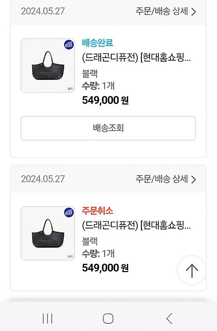 드레곤백--1