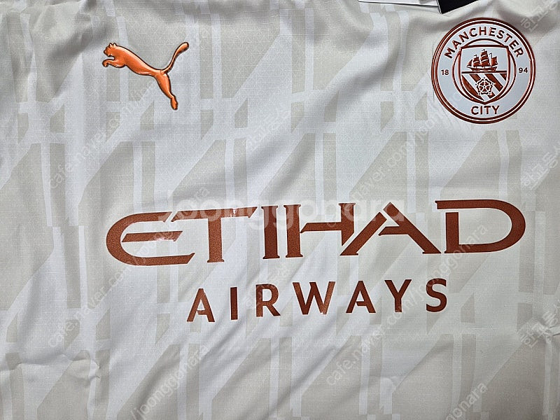 Puma Manchester City 2023/24 A...--1