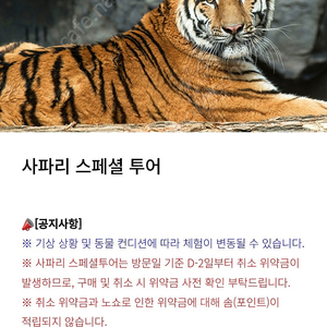 에버랜드 사파리 스페셜투어