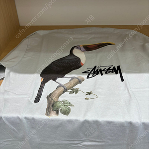 스투시 앵무새 TOUCAN TEE Small(택제거 새상품)