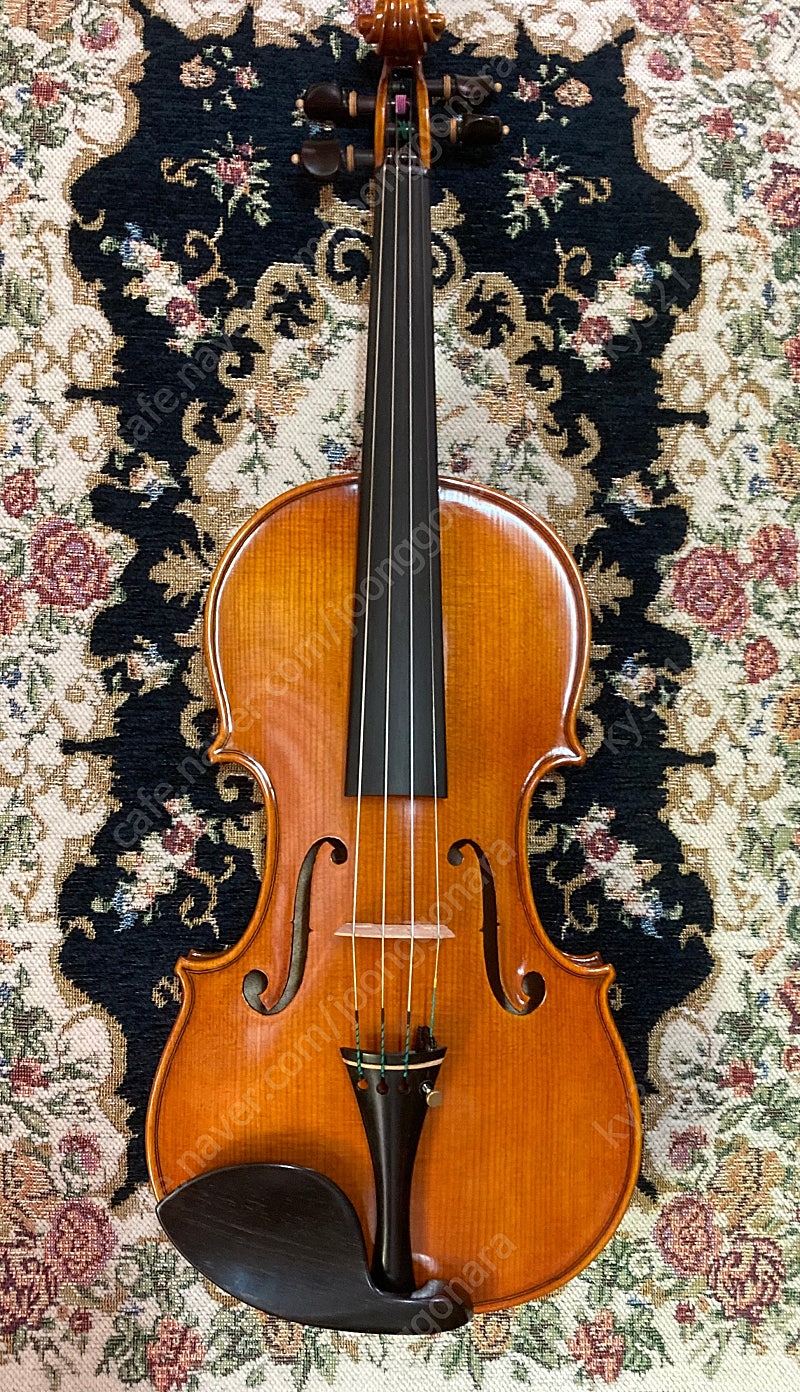 이종대 바이올린 최상위 레벨악기 전공자용 신품 최저가 판매 정가750만원