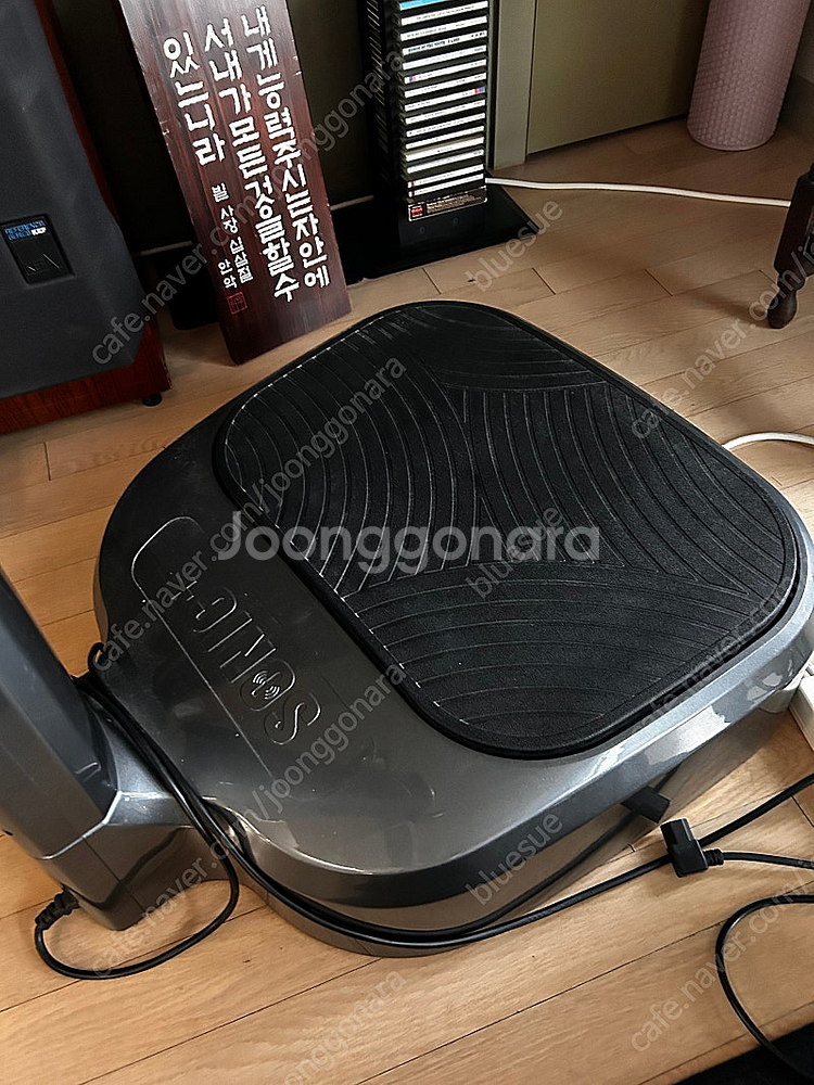 [급처분] 비에스소닉 음파운동기 전신 진동 운동기구--3