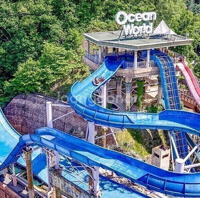 홍천 오션월드 종일 골드시즌 입장권 5매--0