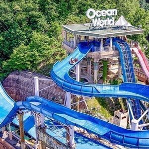 홍천 오션월드 종일 골드시즌 입장권 5매