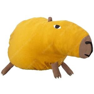 도나윌슨 카피바라 인형 구매합니다