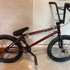 bmx 스톨른 시너 프리코스터 20만원