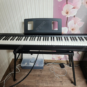 [판매] 로랜드 FP-10 디지털 피아노 판매합니다. (Roland FP-10)
