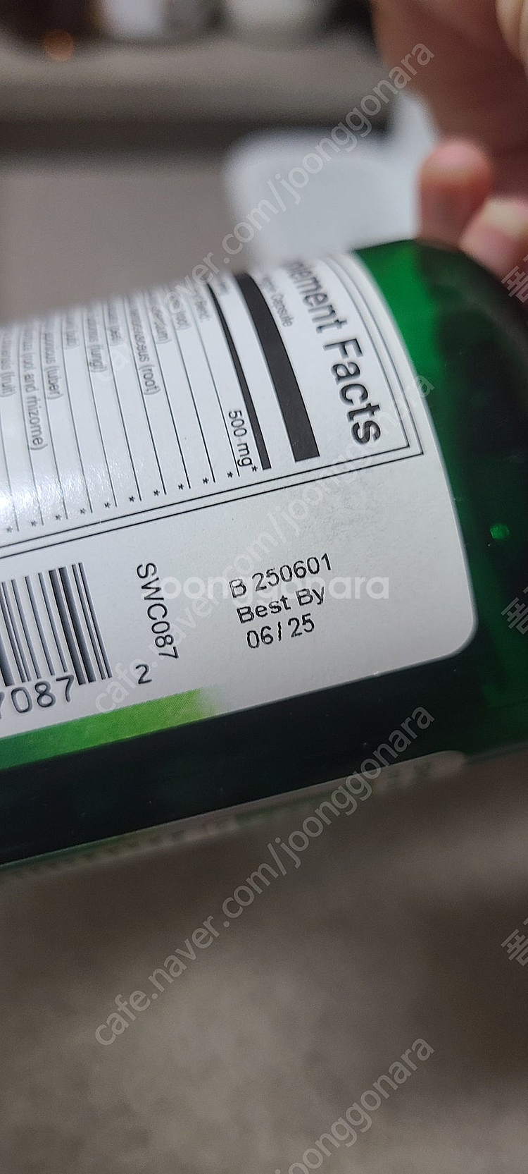 스완슨 렁 에센셜 500mg 반려동물 폐 기관지 심장 ...--2