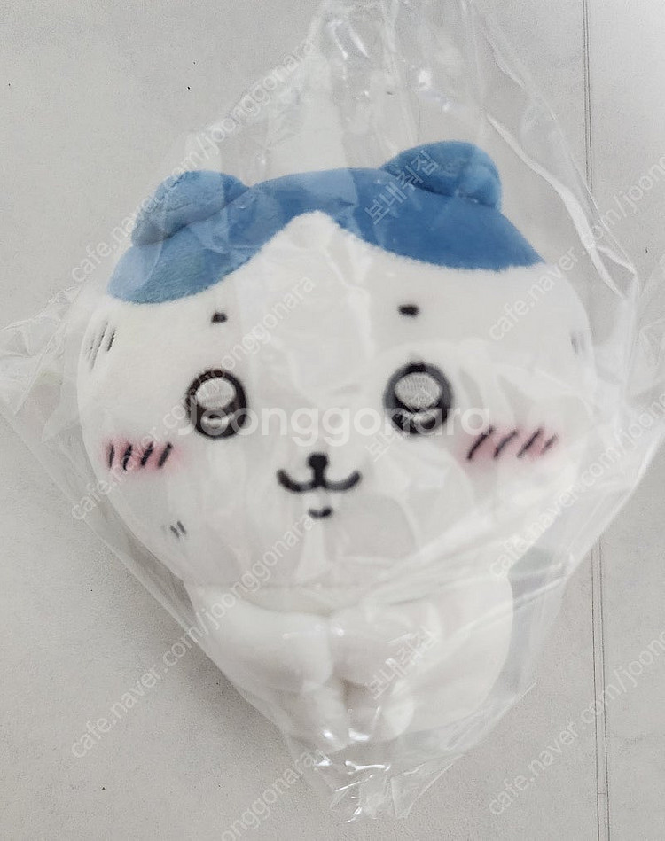 치이카와 기쁨이 없어 하치와레 누이--0