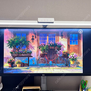 LG 34인치 울트라와이드 모니터 34WK650-W