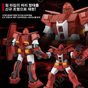 hg 사이코짐 팝니다