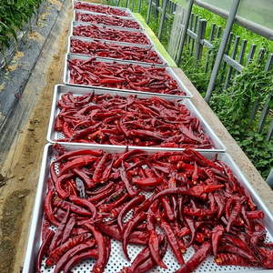 햇 고추 가루 포천 직거래 한근당 600g 10근씩 주문가능 택배무료