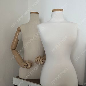 마네킹 일괄