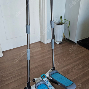 로베라 워키 스텝퍼