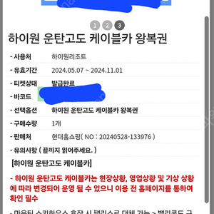 하이원 운탄고도 케이블카 왕복권