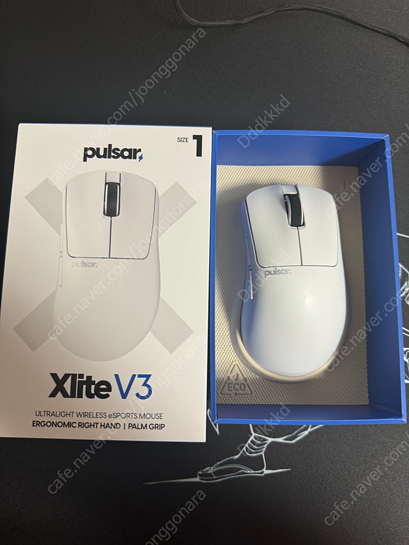 펄사 xlite v3 미니 마우스