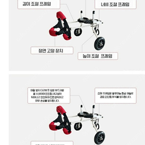 강아지 휠체어 2륜 xs사이즈 택포