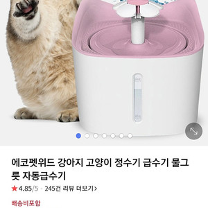 고양이 자동정수기 1만원 에코펫위드 은평구