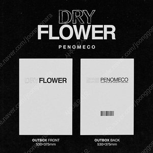 페노메코 dry flower 앨범