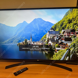 LG 울트라 HD TV (49인치)