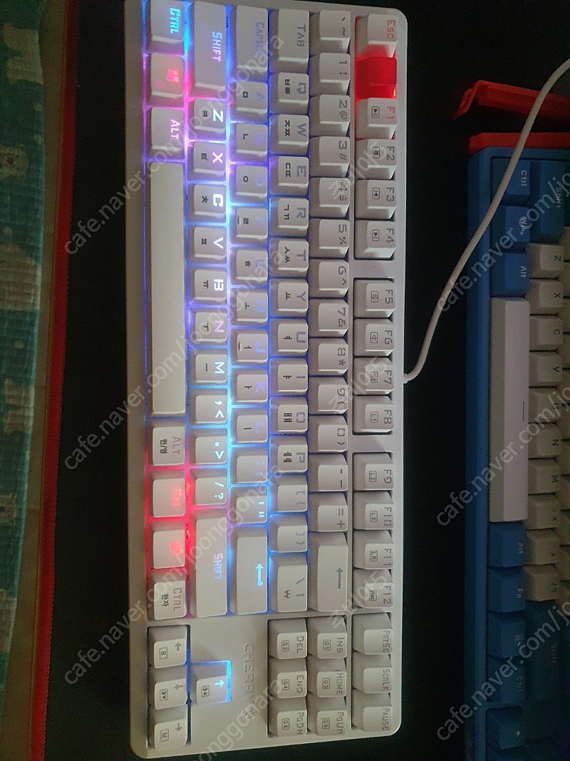 체리(CHERRY) g80-3000s TKL RGB 기계식 키보드(청축) 팝니다.