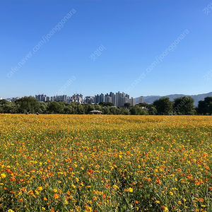 스타벅스 별쿠폰 (별8개) 오늘까지 (아메리카노 또는 라떼 주문 가능)