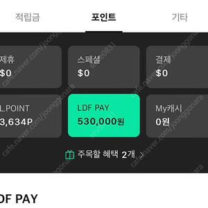 LDF PAY 53만 포인트