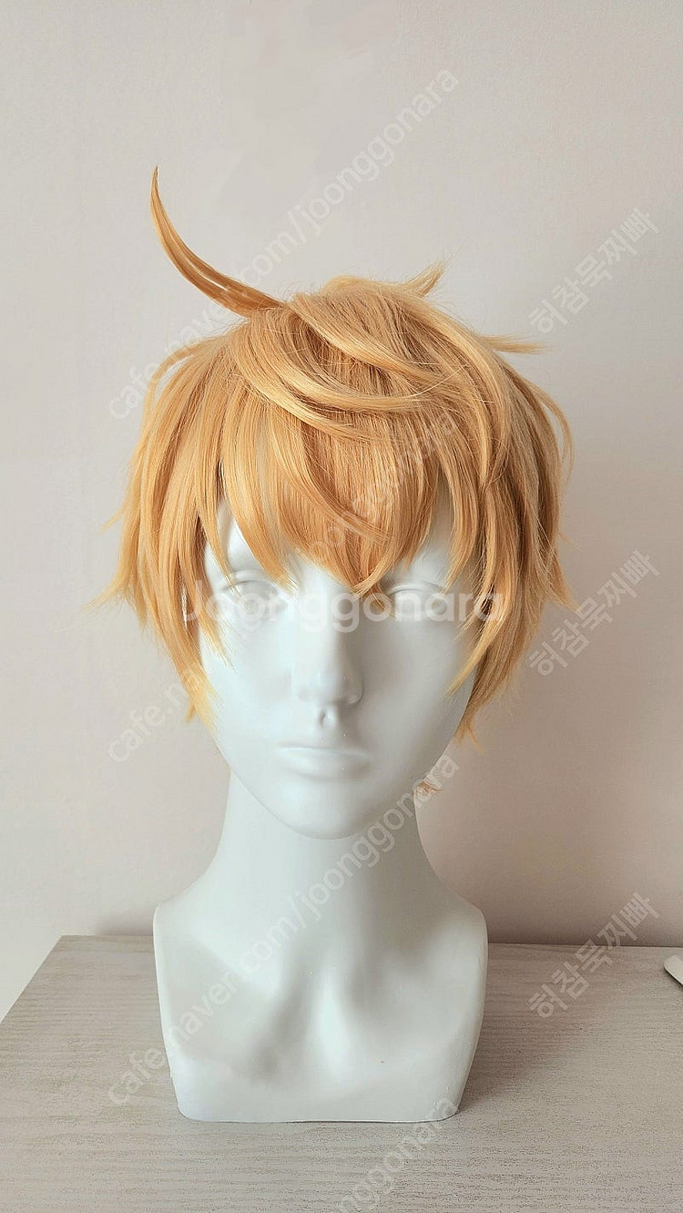 fate시리즈 아서 펜드래건 코스프레 All풀셋--2