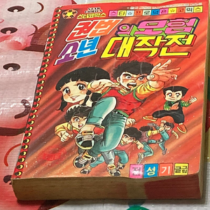 권법소년의 모험대작전 전성기 만화