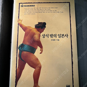 상식밖의 일본사