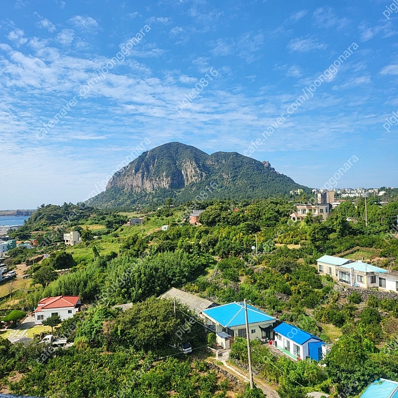 제주도 숙소.서귀포 숙소. 제주도 숙박