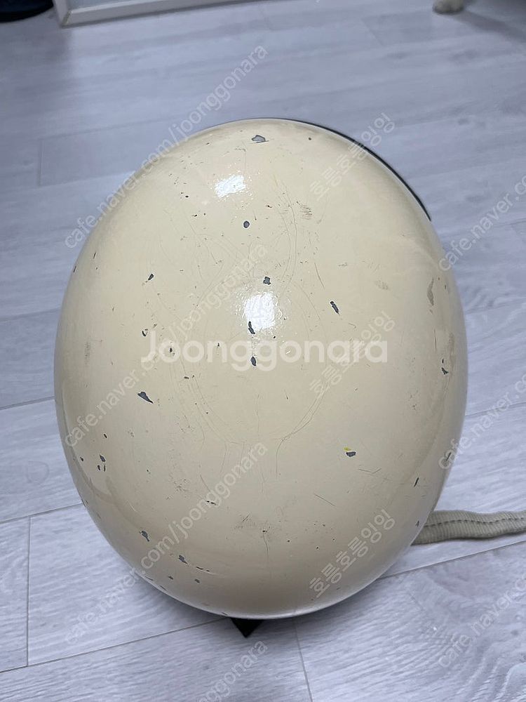 덱스톤 500tx 아이보리 M--1
