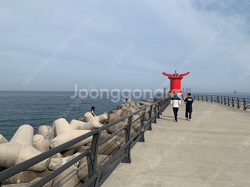강원도 동해 어달포차 유명한 어달리 해수욕장 펜션 예약...--3