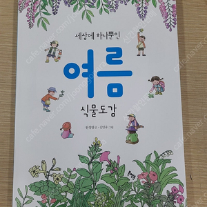 세상에 하나뿐인 여름 식물도감