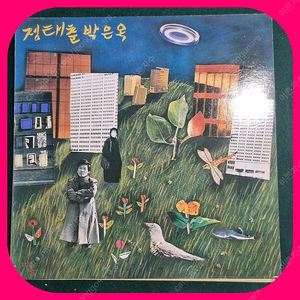 정태춘 박은옥 LP NM/NM