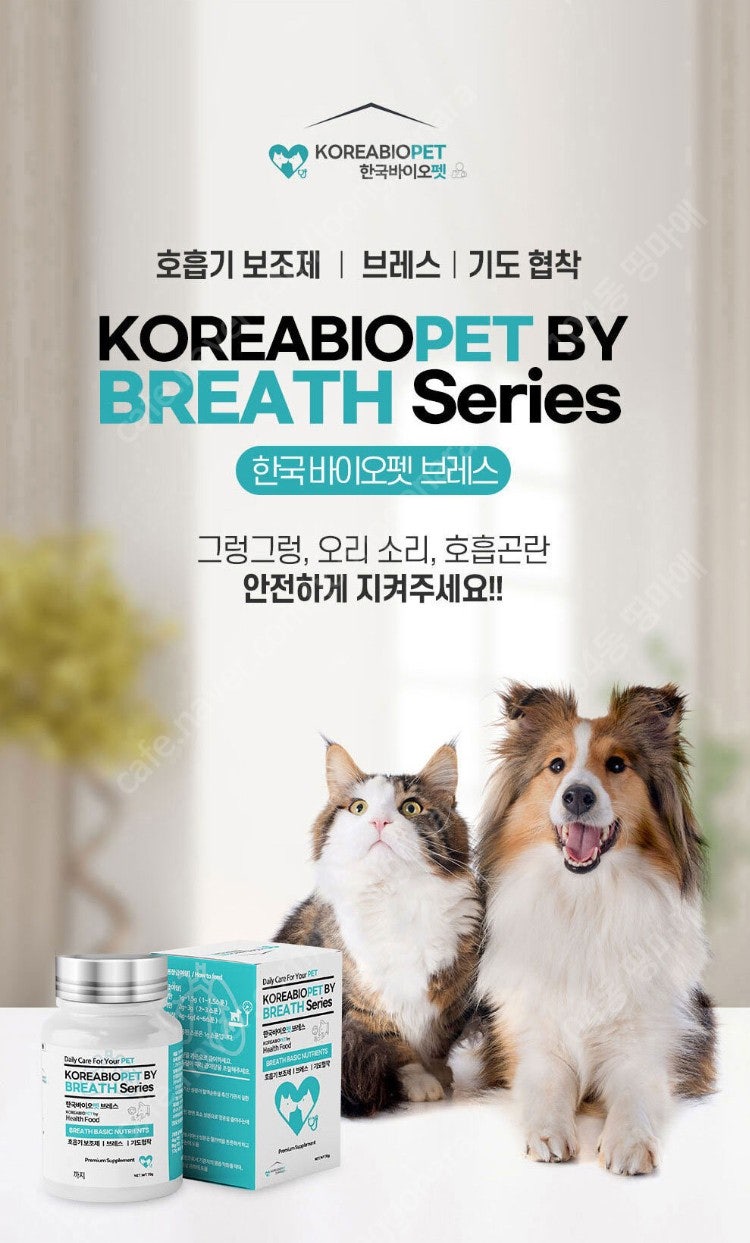 한국바이오펫 브레스 강아지 기침 기관지 협착증 호흡기 영양제