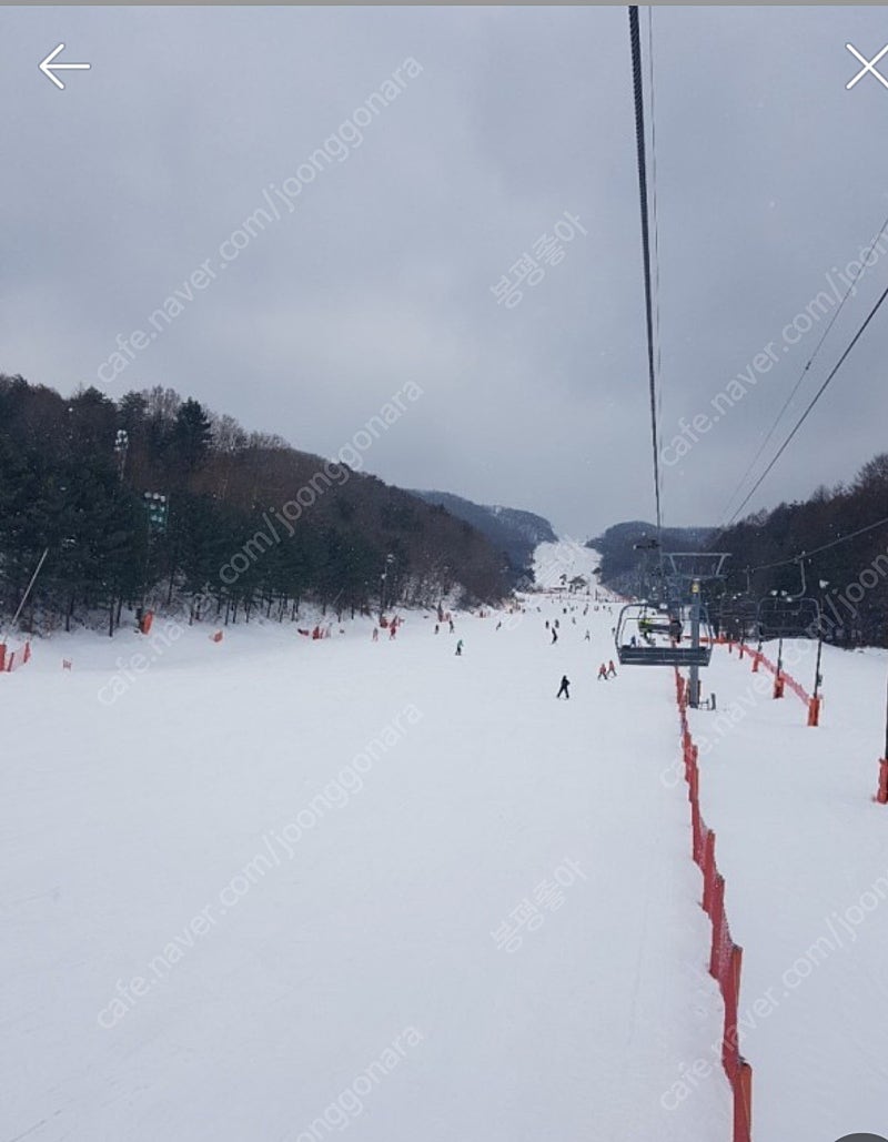 휘닉스제주 아일랜드 주말.연휴 34평 양도